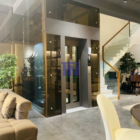 THANG MÁY SANG TRỌNG THIẾT KẾ LỒNG KÍNH