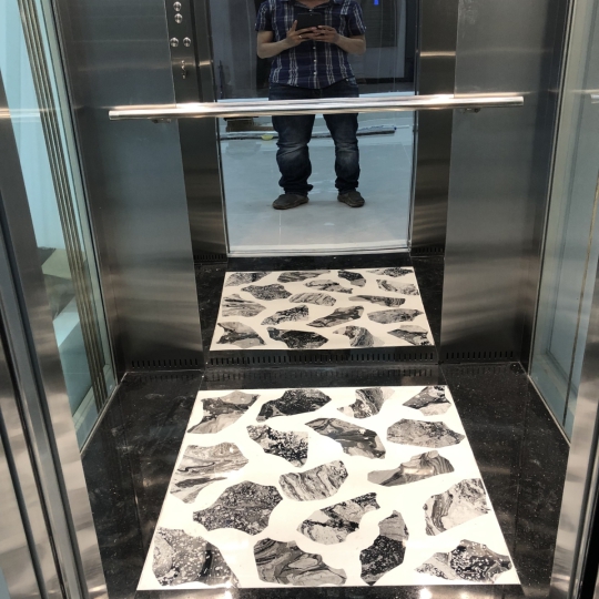 ĐÁ SÀN CABIN HỌA TIẾT HOA VĂN SỌC